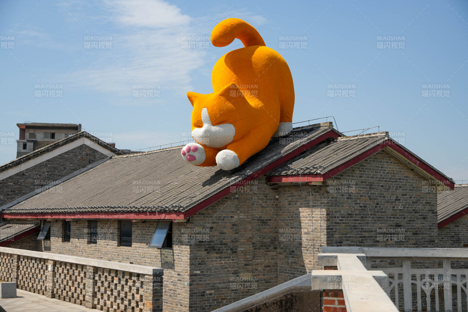 屋顶上的大黄猫图片