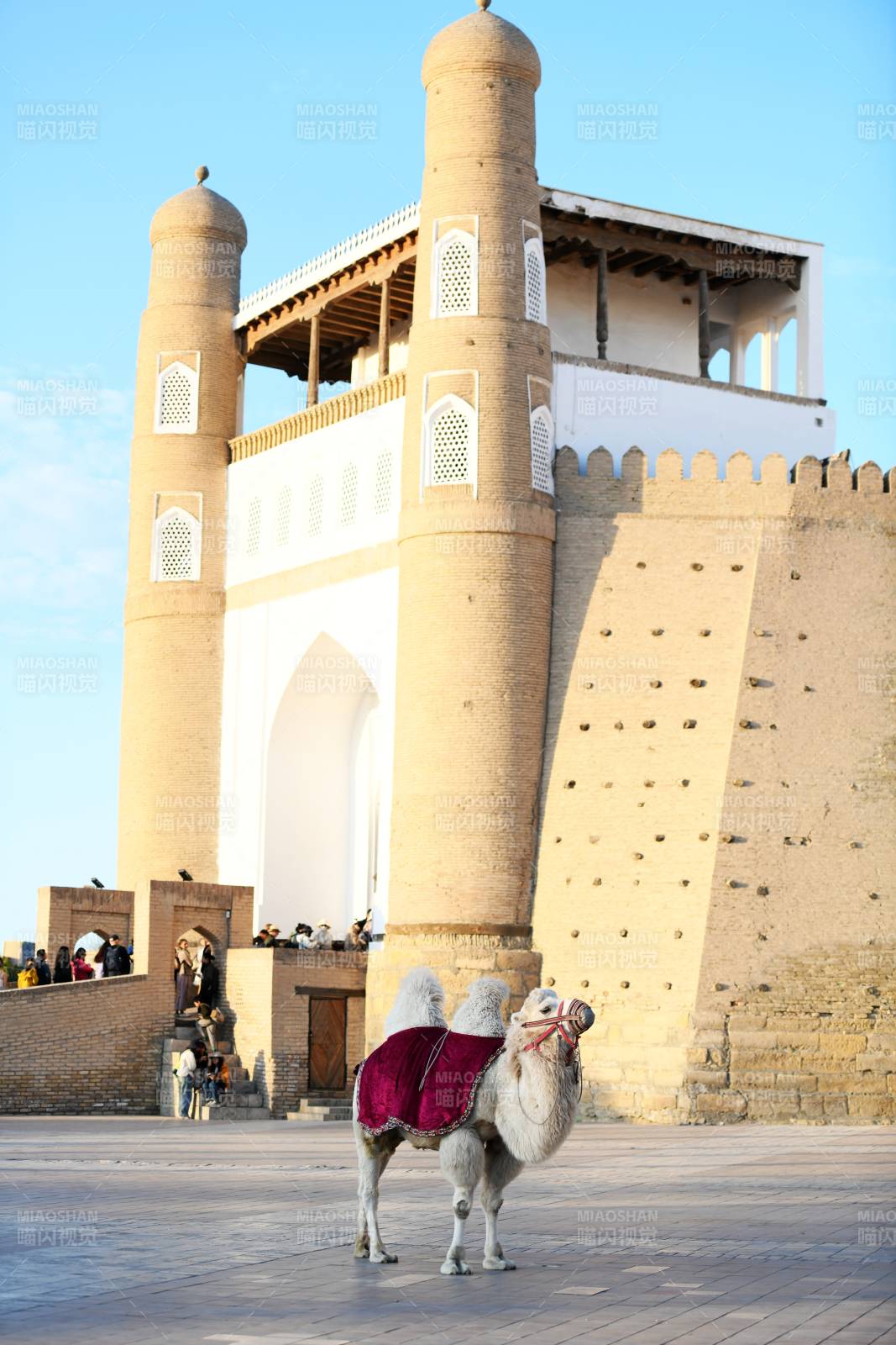 骆驼前的古建筑图片