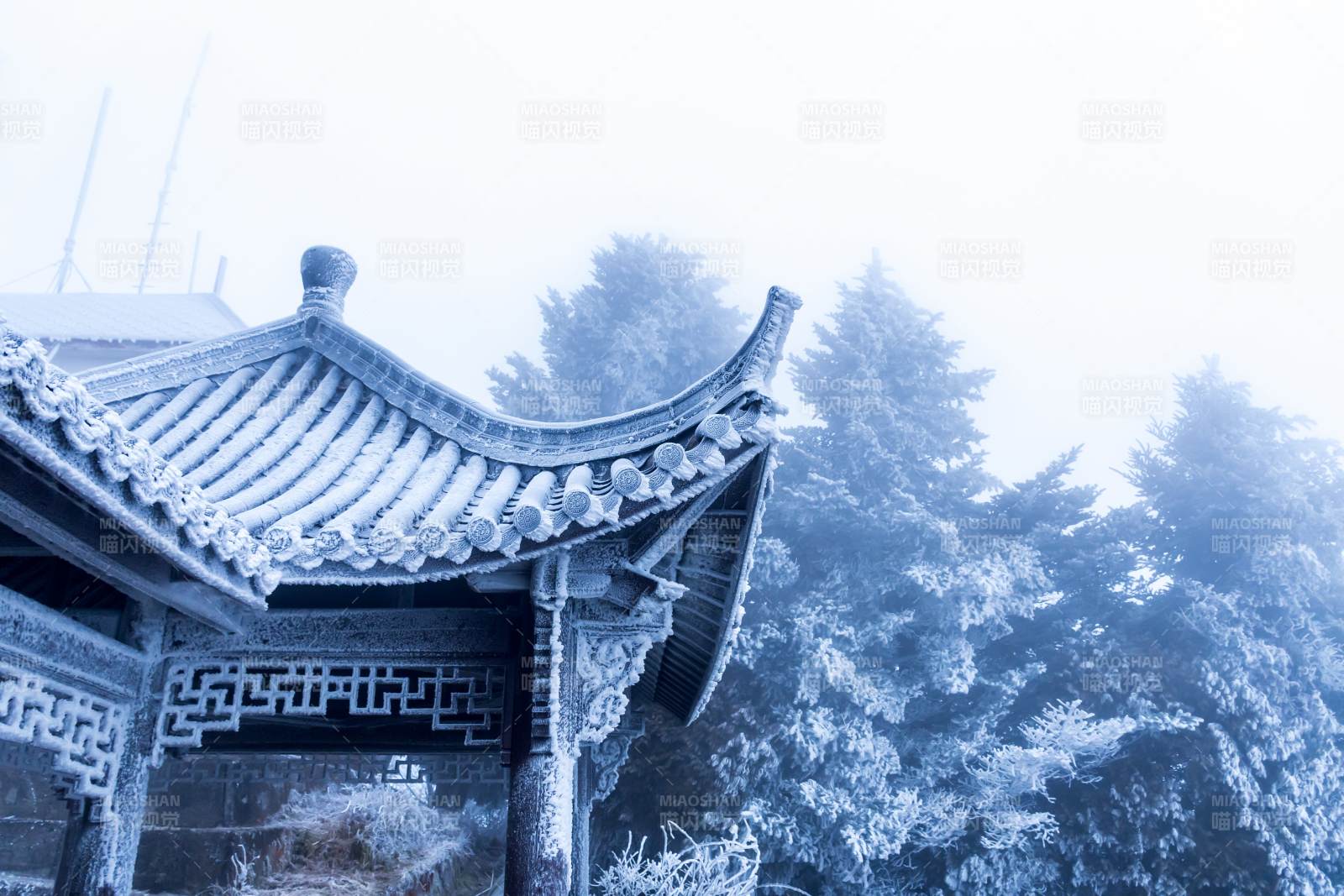 雪覆古亭 雾锁松林图片