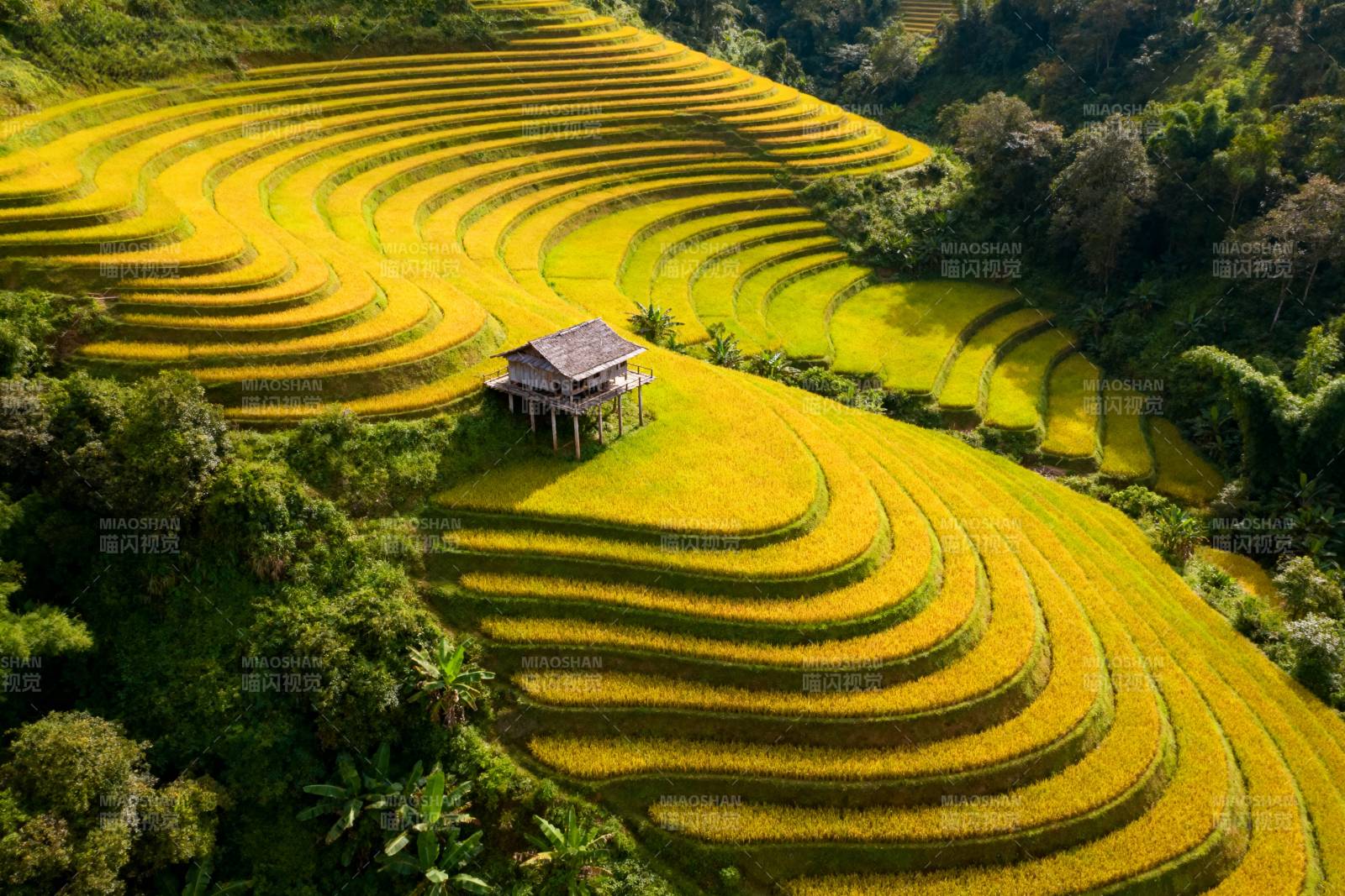 梯田上的小屋图片