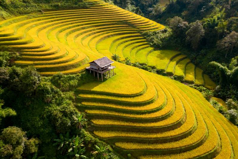 梯田上的小屋图片