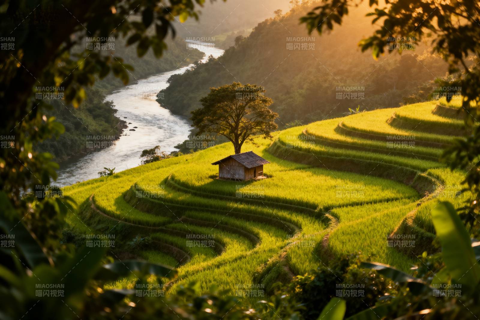 梯田晨光 小屋静谧图片