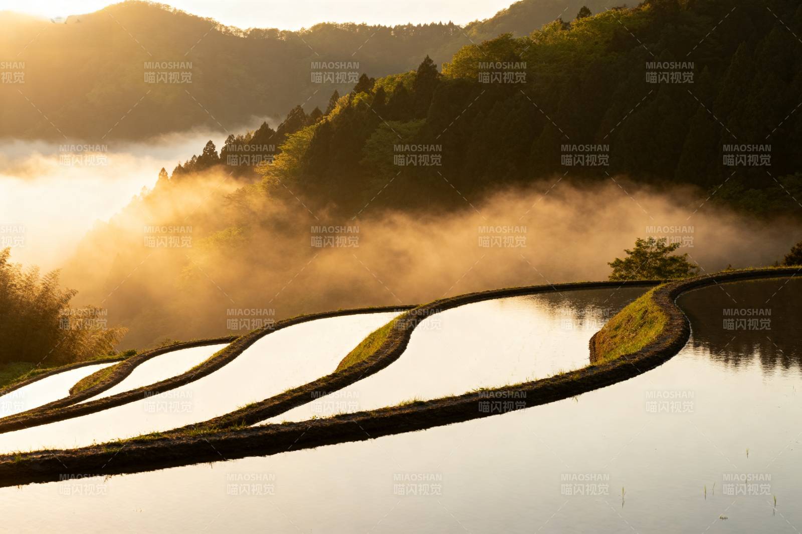 晨雾梯田图片
