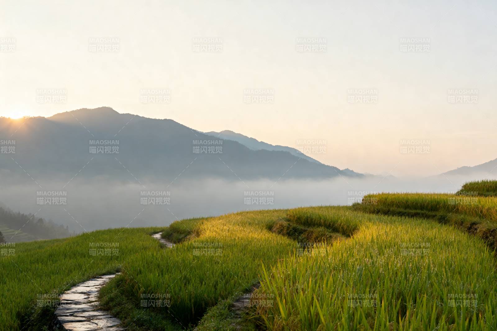 晨雾梯田山影图片