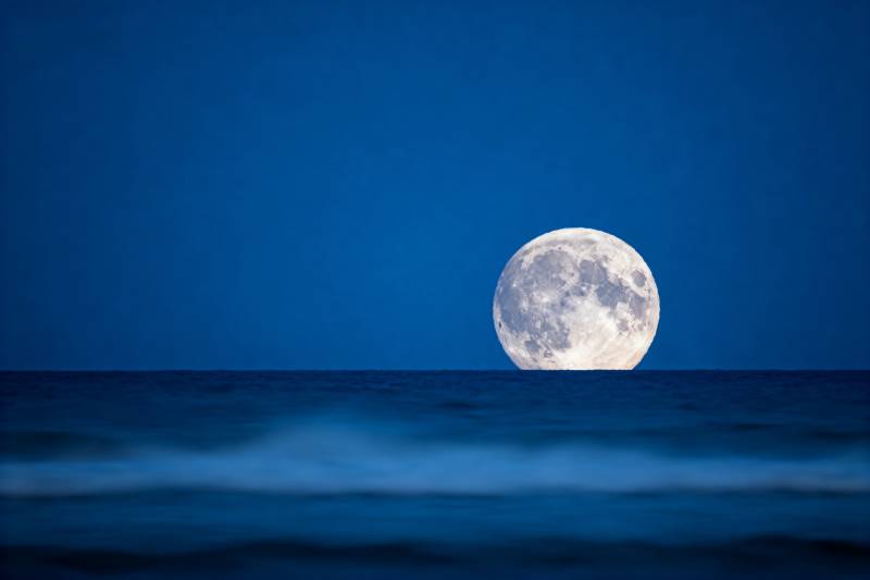 海上明月升图片