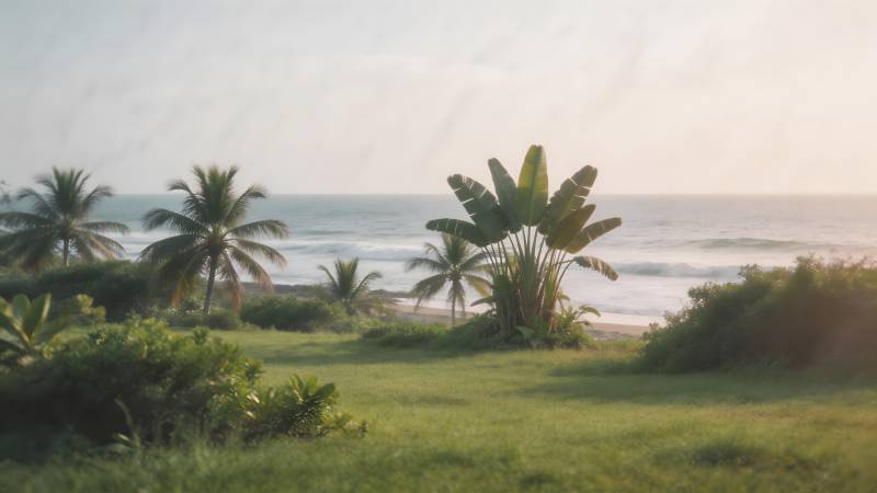 热带海滨风光图片