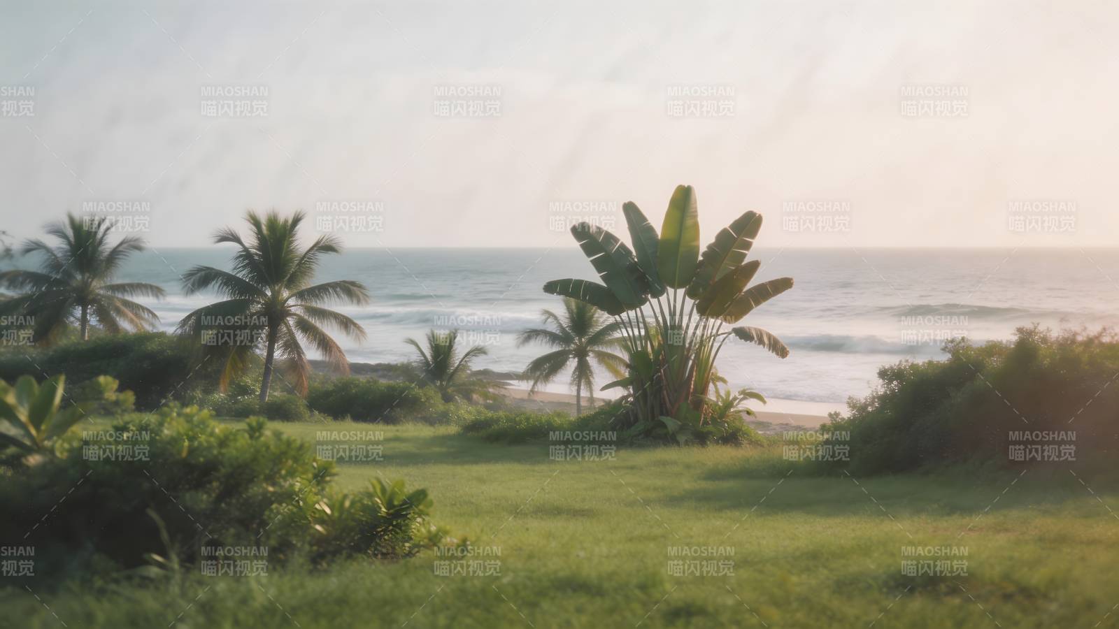 热带海滨风光图片