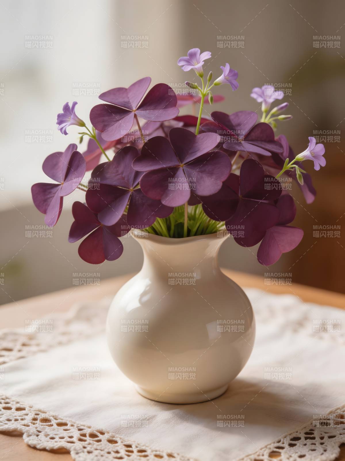 紫花三叶草静物图片