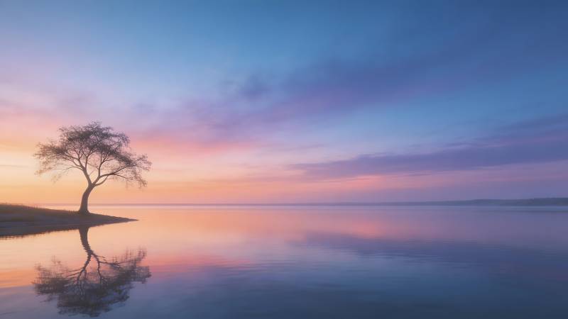 孤树映湖 霞光满天图片