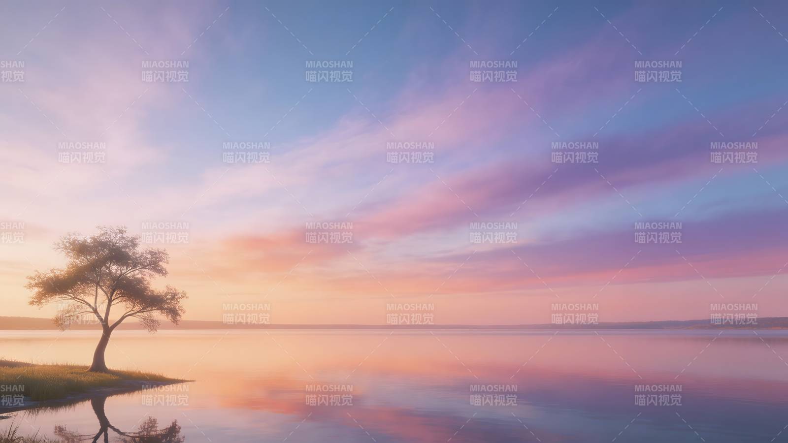 湖畔孤树映霞光图片