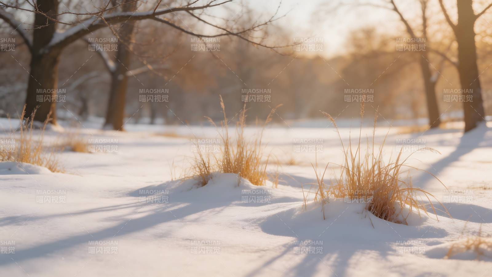 雪地枯草映斜阳图片