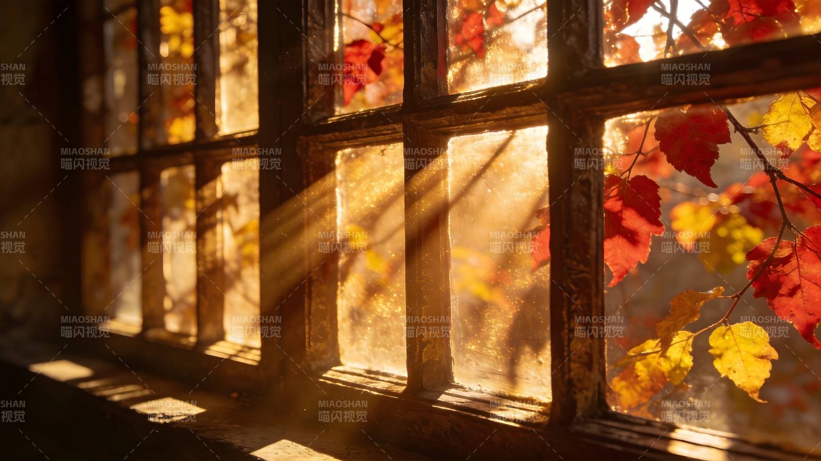 秋光透过窗棂图片