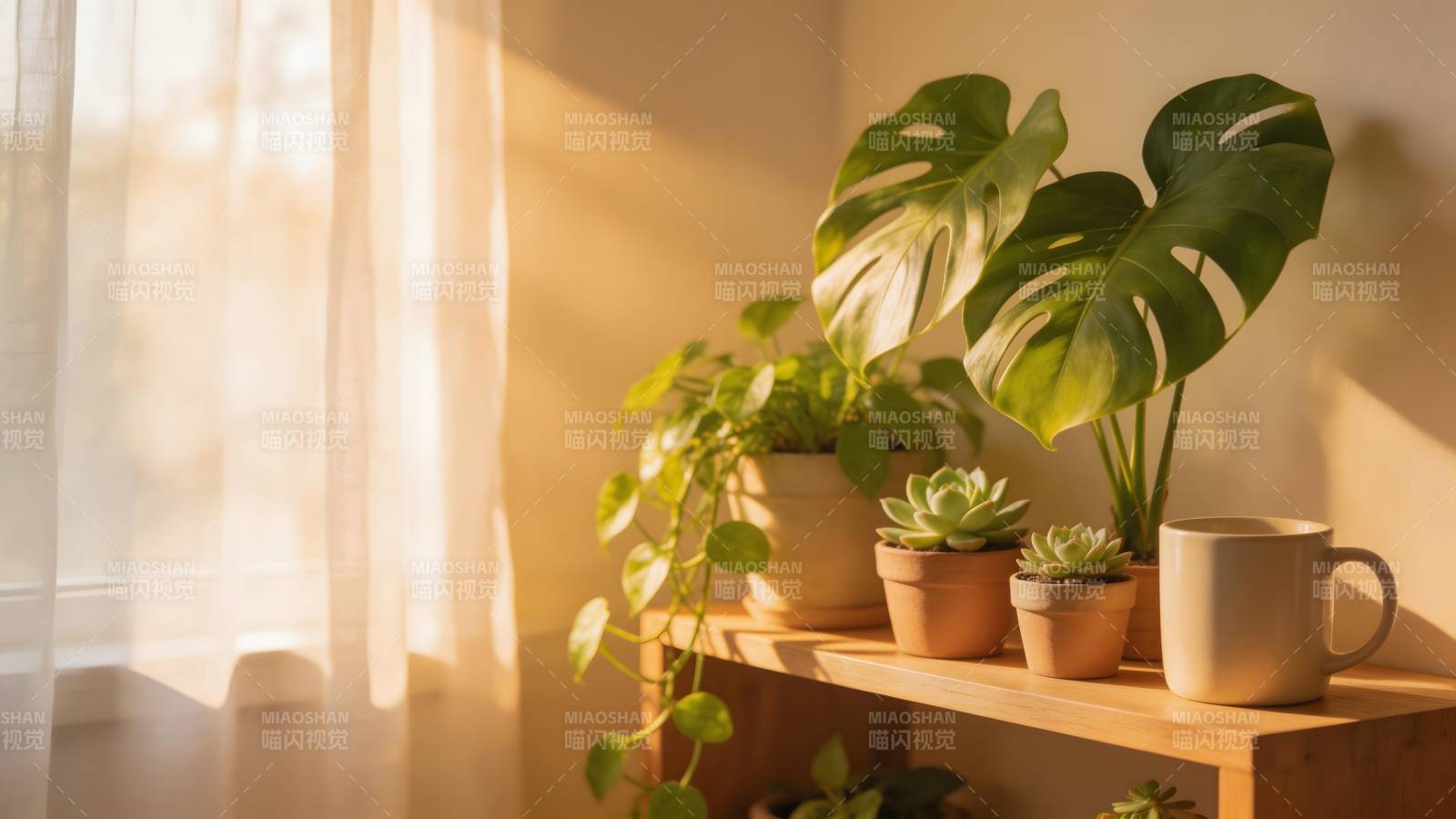 窗边绿植静谧时光图片