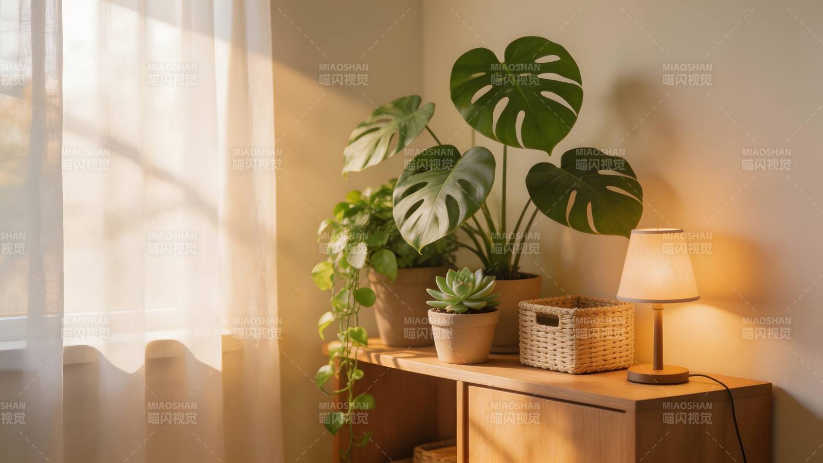 绿植角落的温暖时光图片