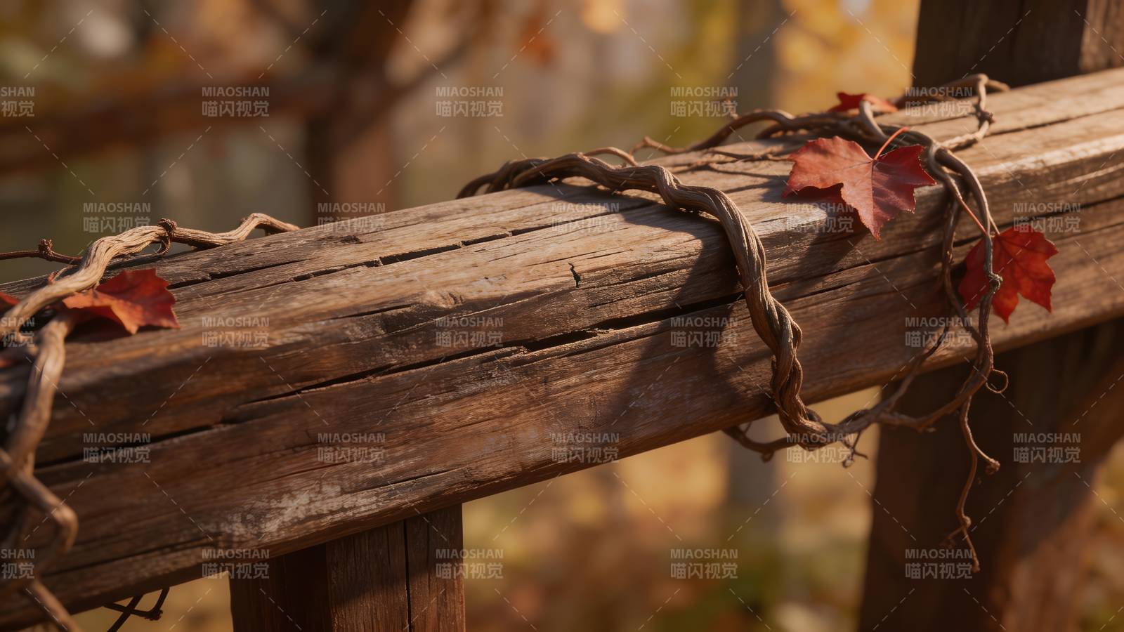 秋叶缠木栏图片
