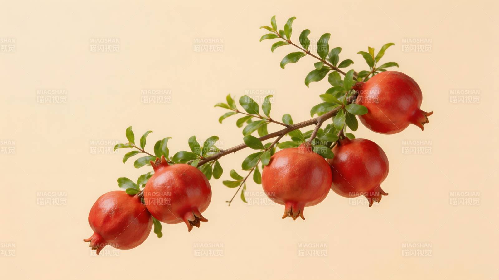 石榴枝头果实累累图片