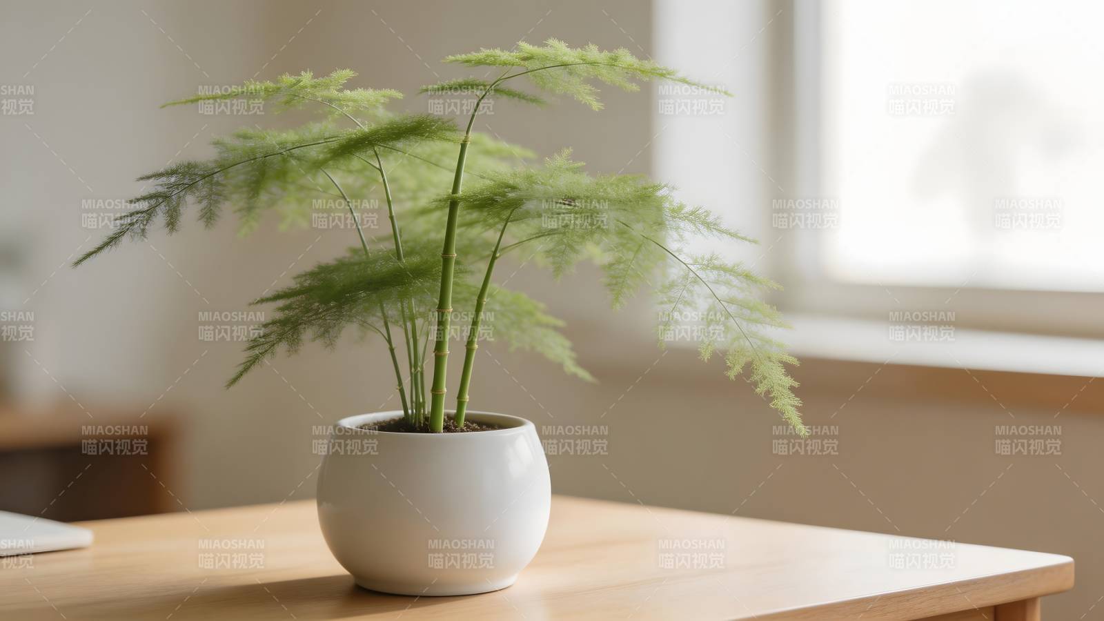 绿植点缀温馨角落图片