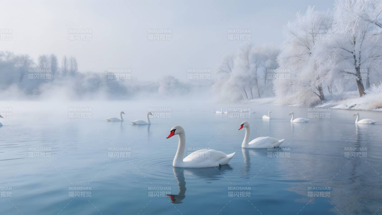 冬湖天鹅图图片