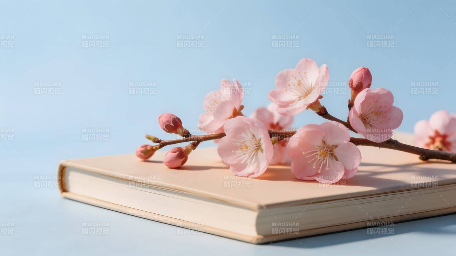 樱花书影图片
