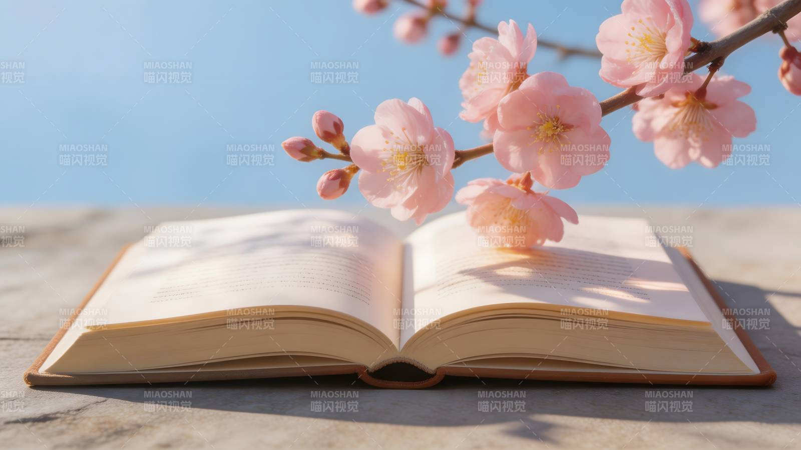 书页伴樱 春意盎然图片
