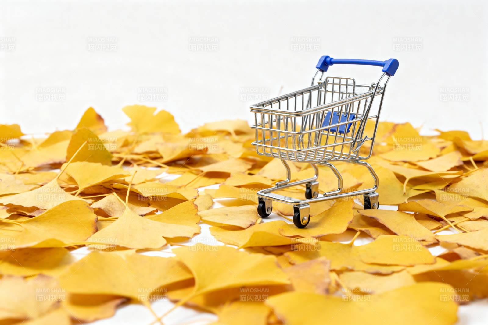 秋叶中的购物车图片