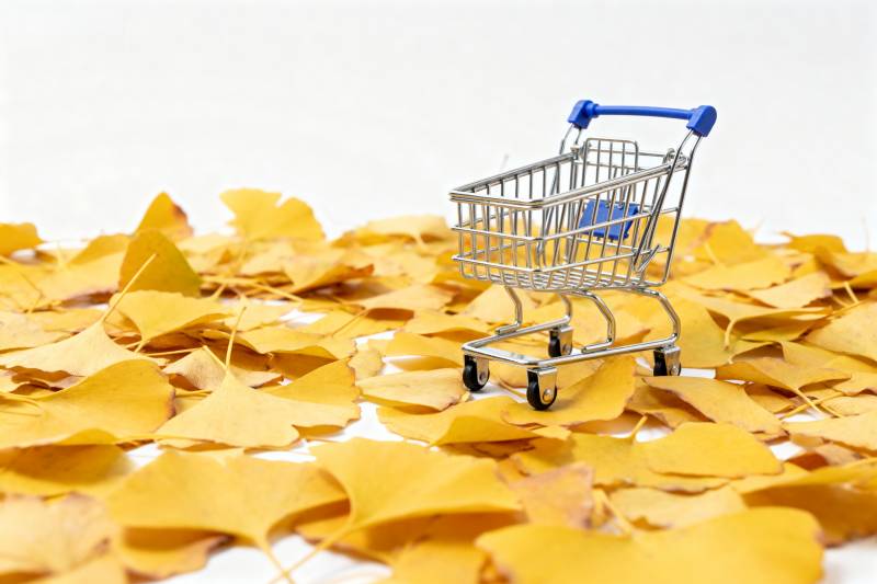 秋叶中的购物车图片