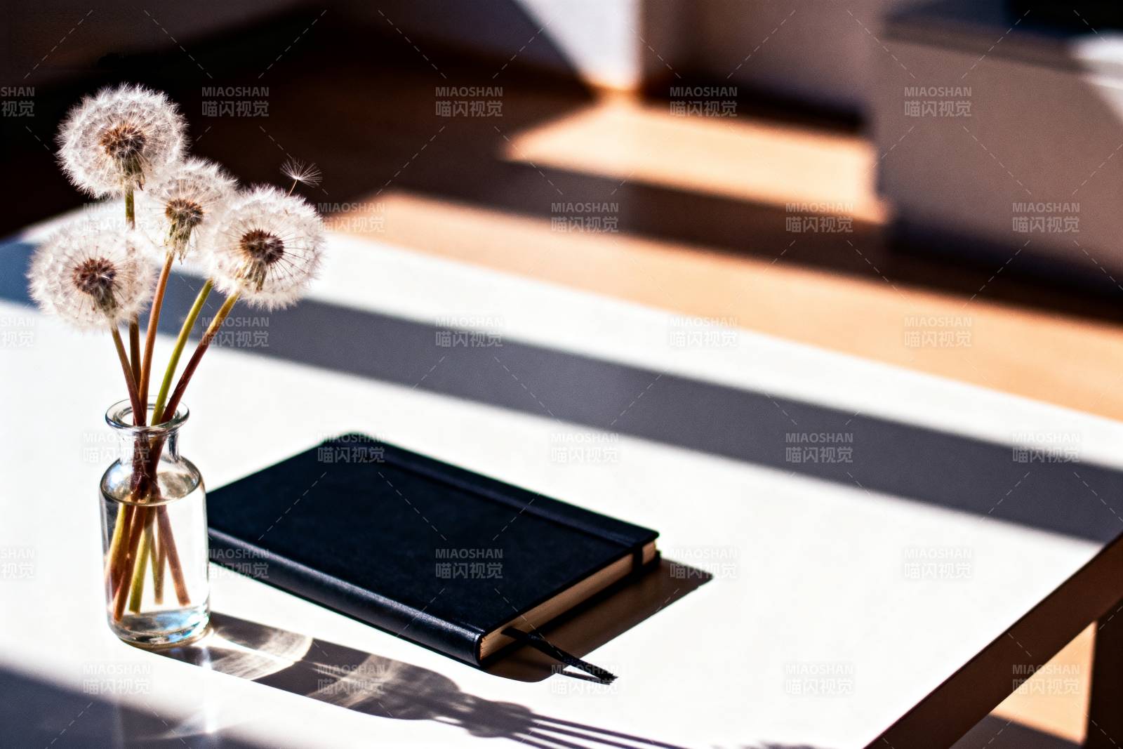 阳光下的静谧时光图片