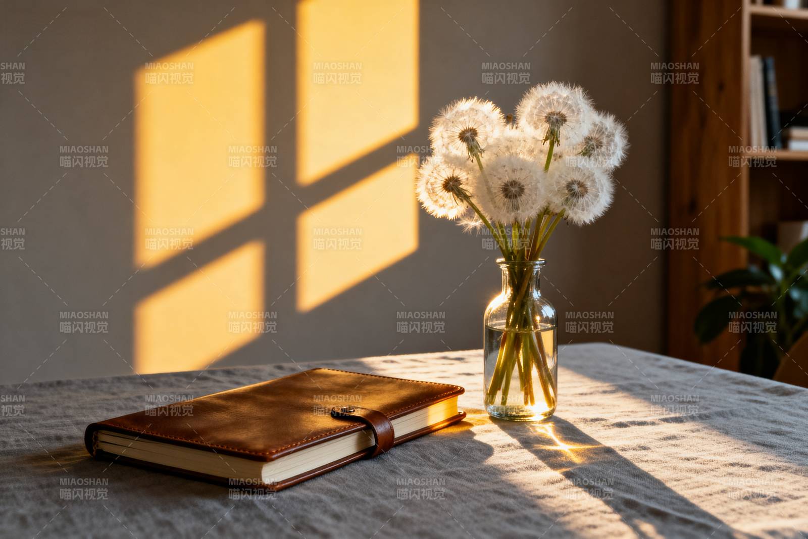 阳光下的蒲公英与书图片