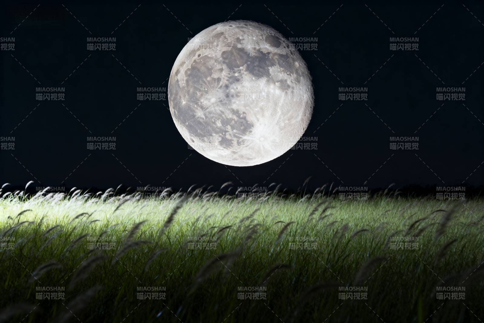 月照草野夜静谧图片