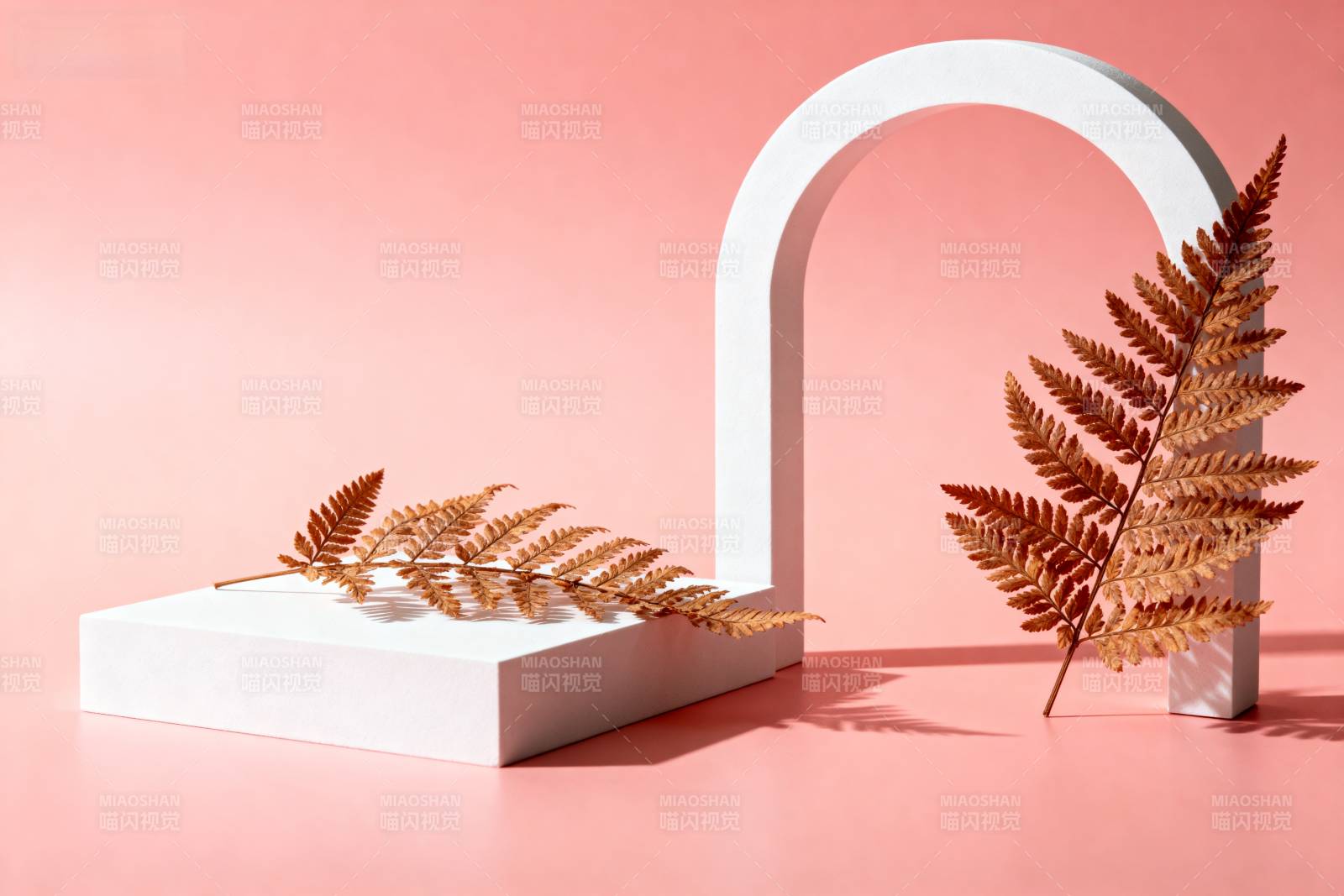 秋叶与白弧静谧景图片