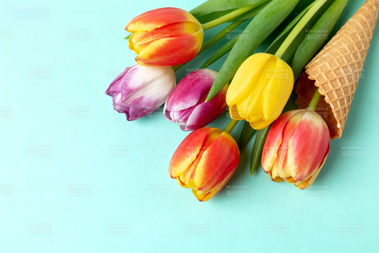 郁金香与冰淇淋锥图片
