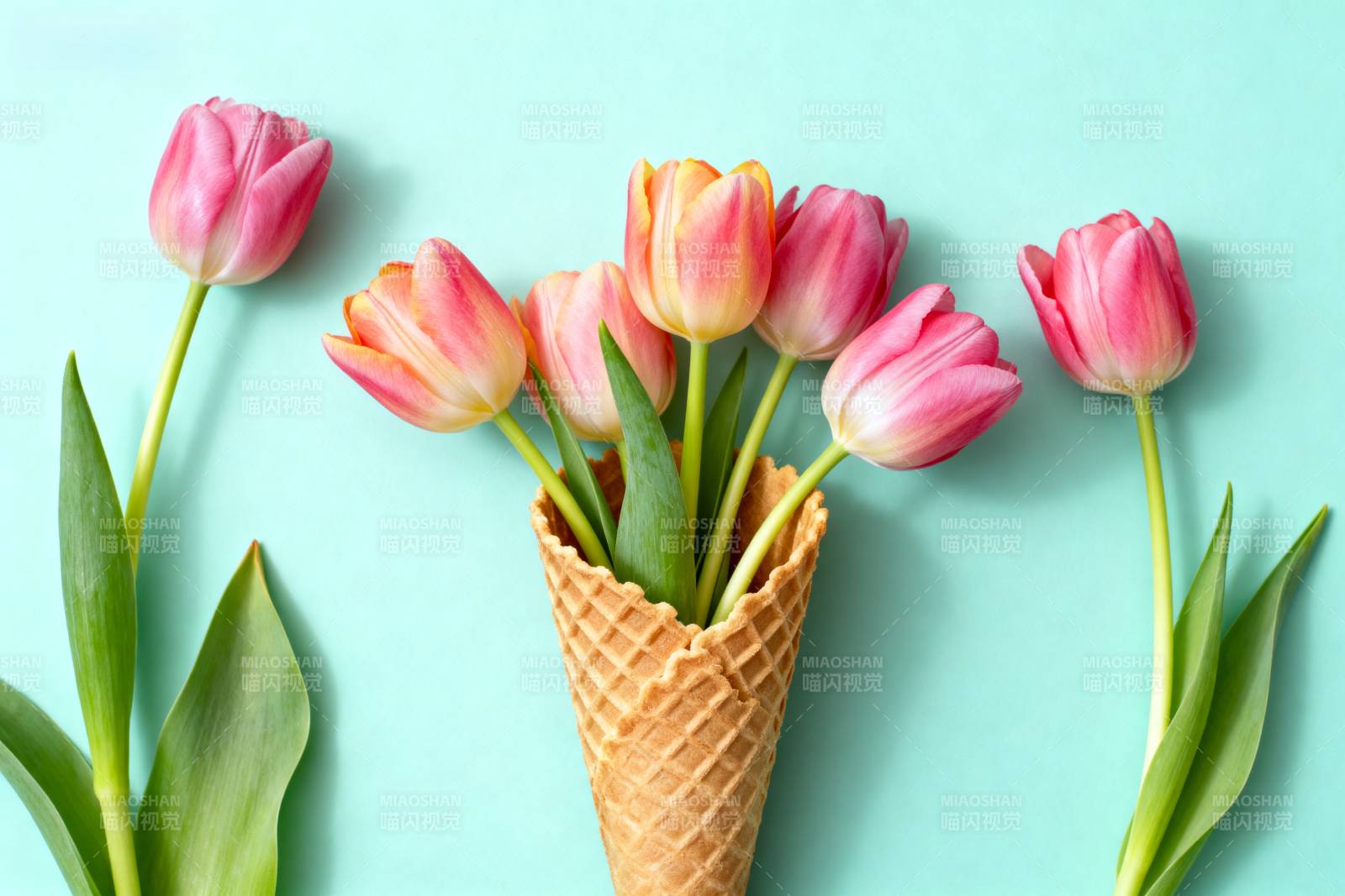郁金香冰淇淋图片