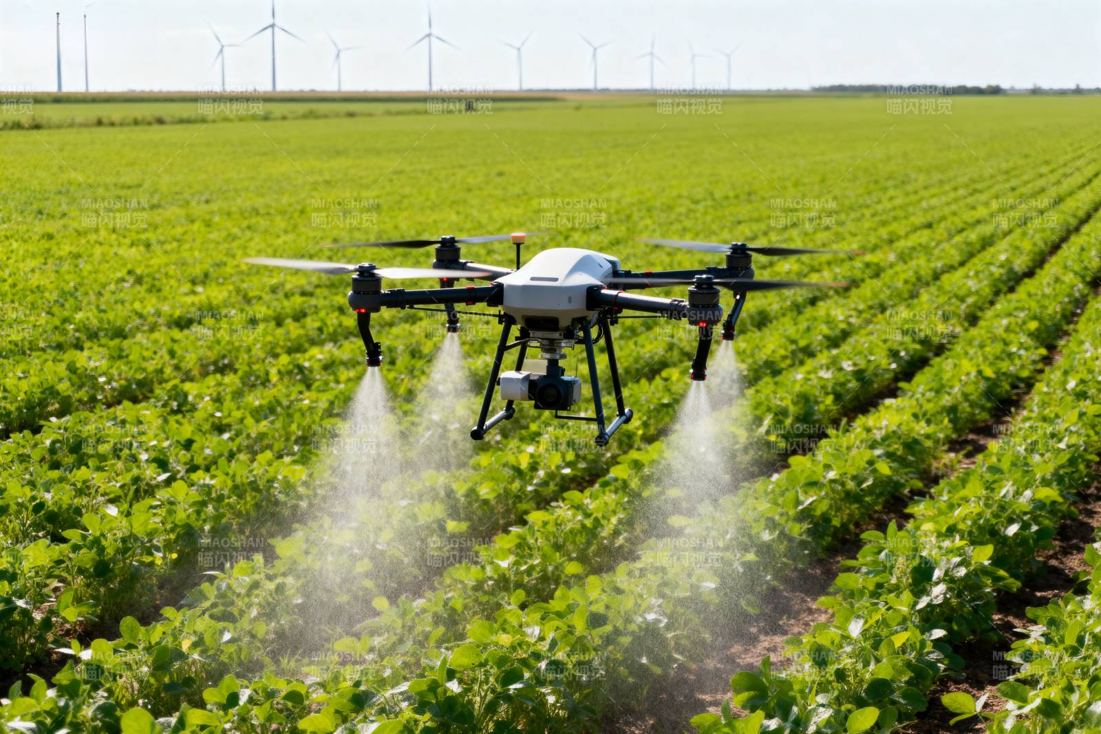 无人机农田喷洒图片