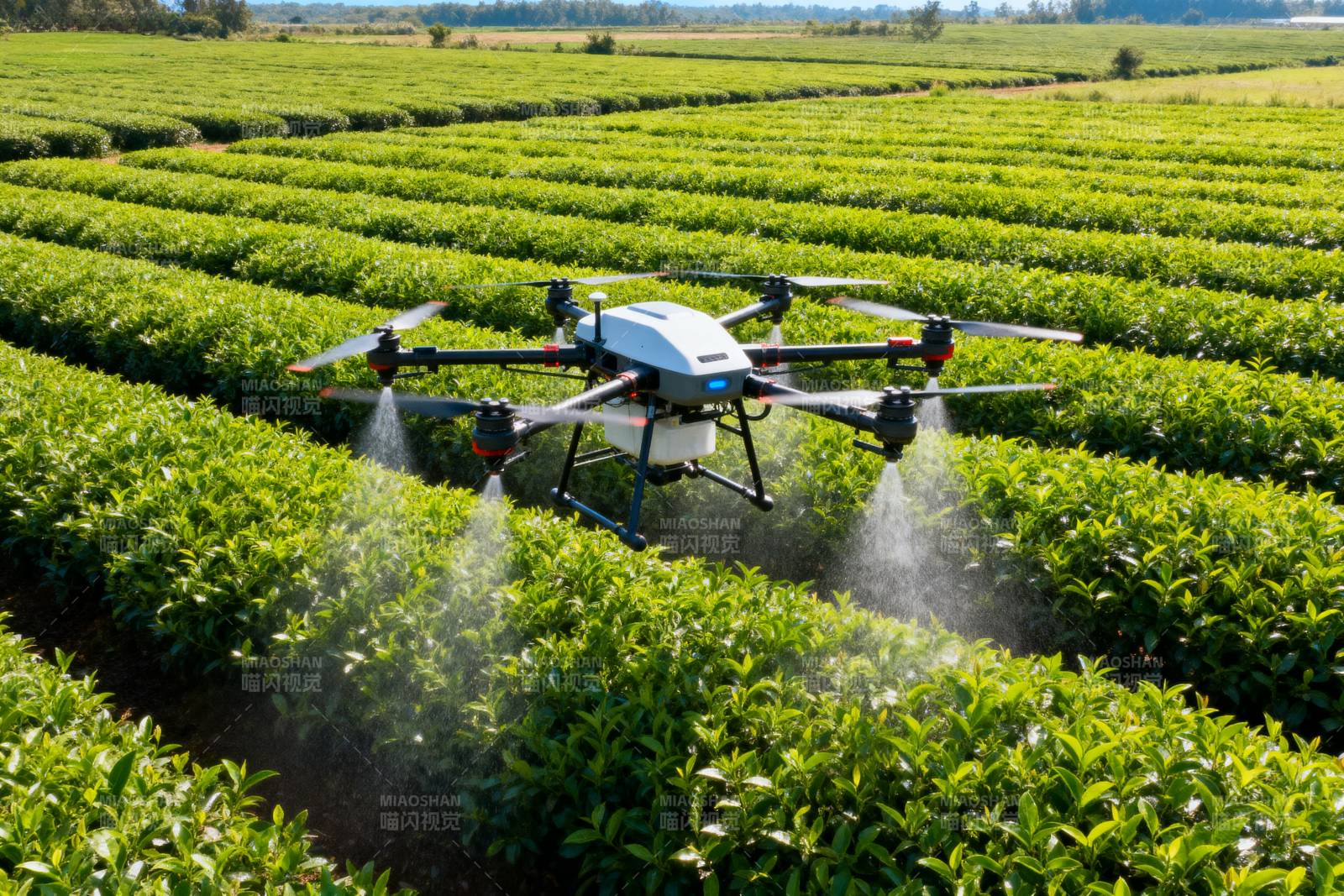 无人机喷洒茶园图片