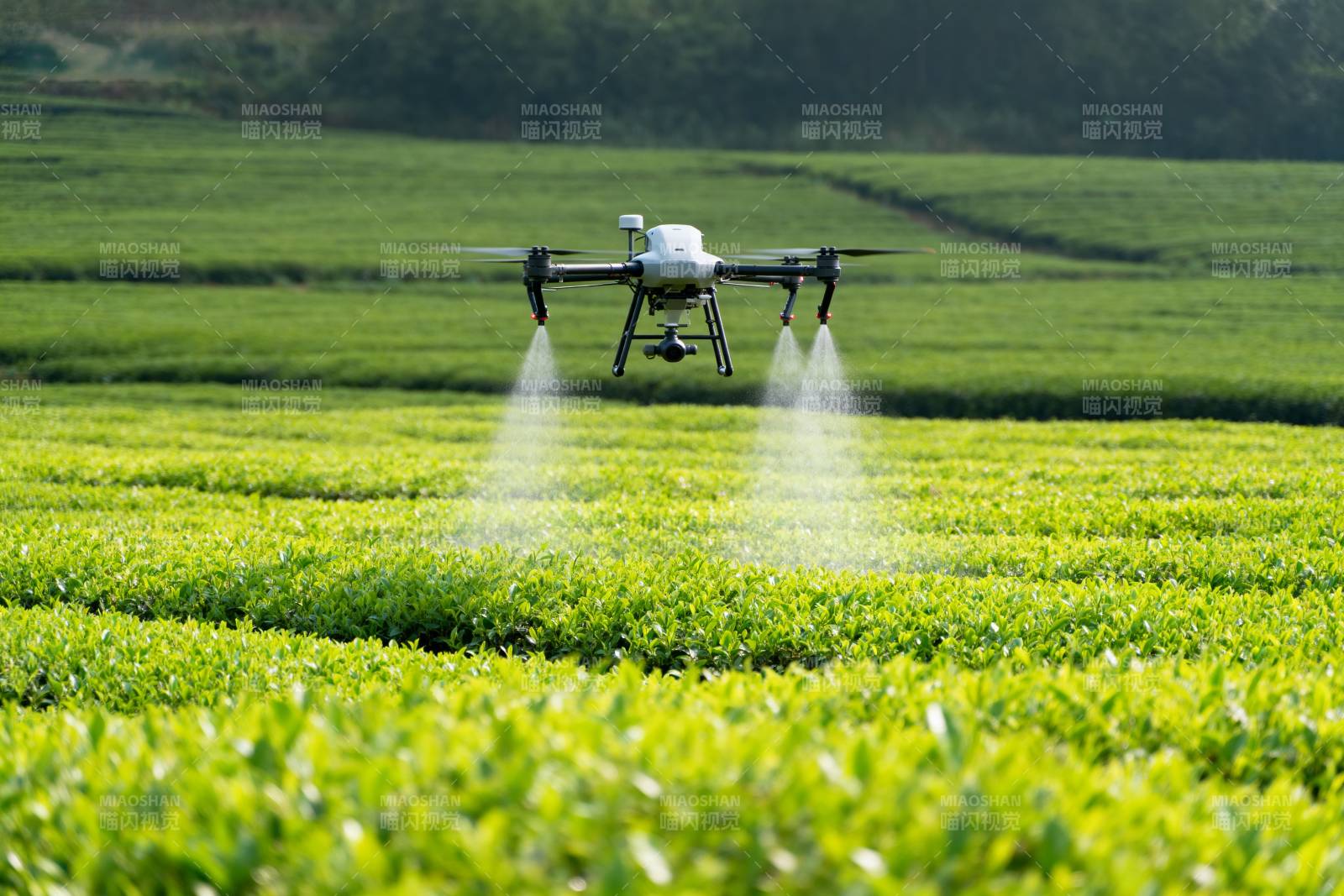 无人机喷洒农田图片