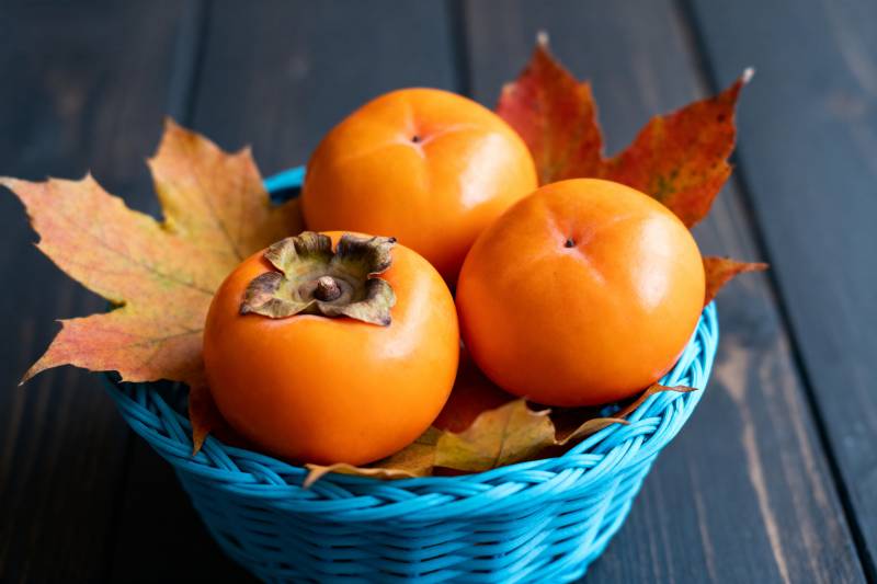 秋日柿子篮图片