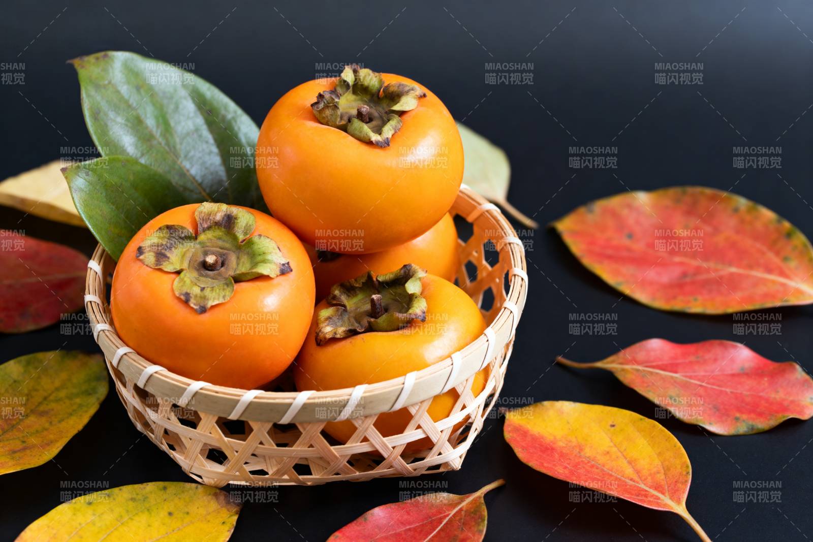 秋日柿子静物图片