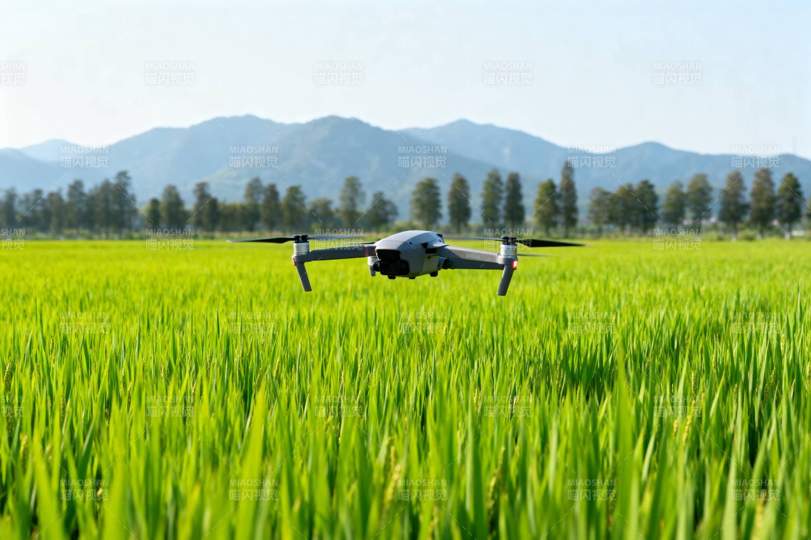 无人机飞越绿野图片