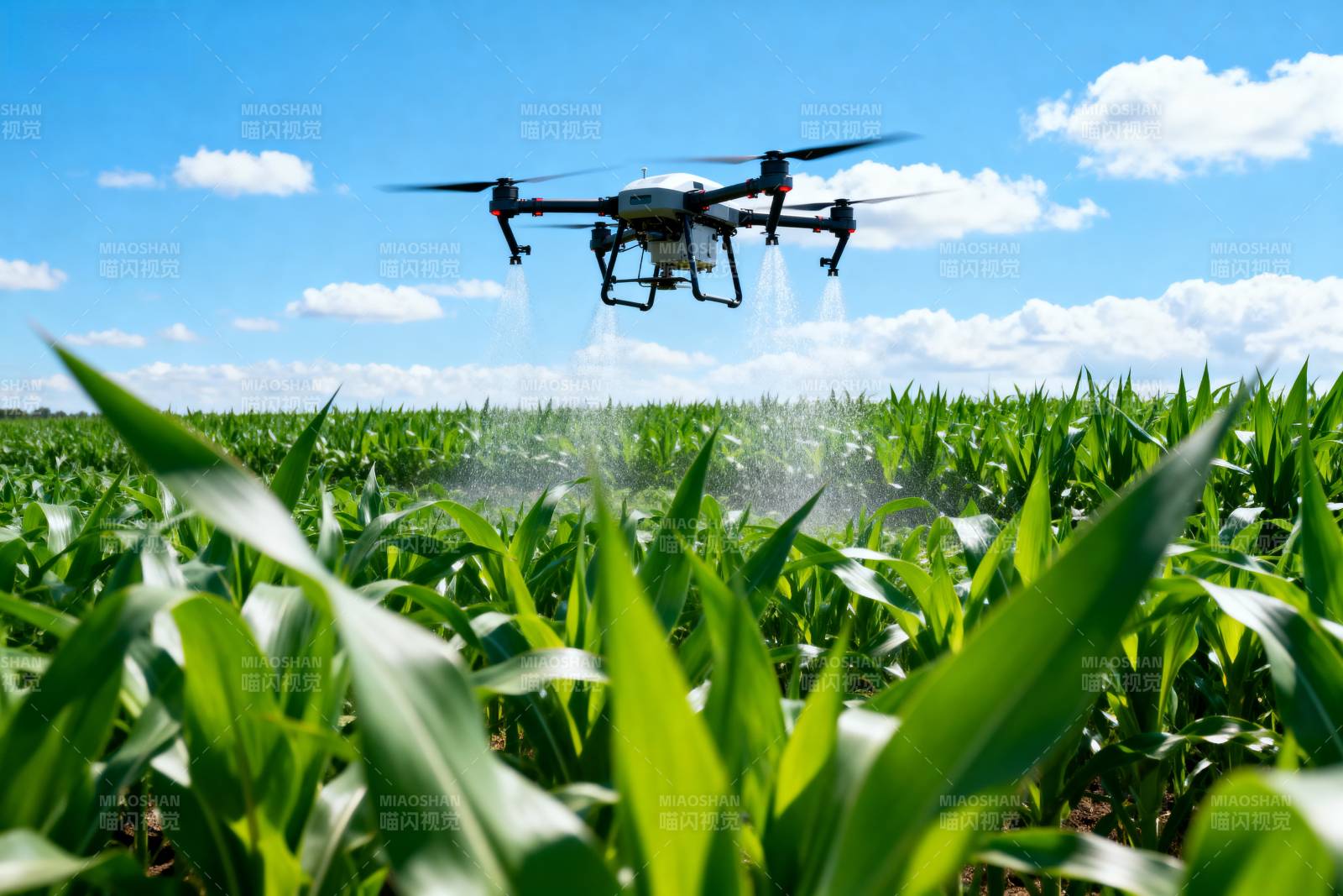 无人机喷洒农田图片