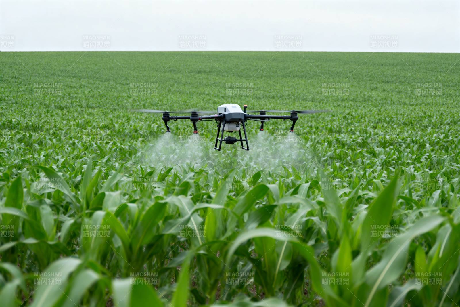 无人机喷洒农田图片