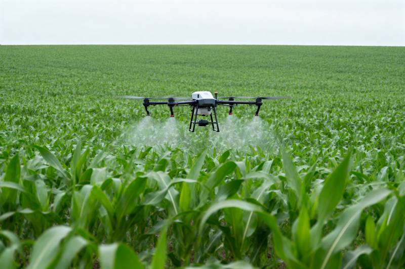 无人机喷洒农田图片