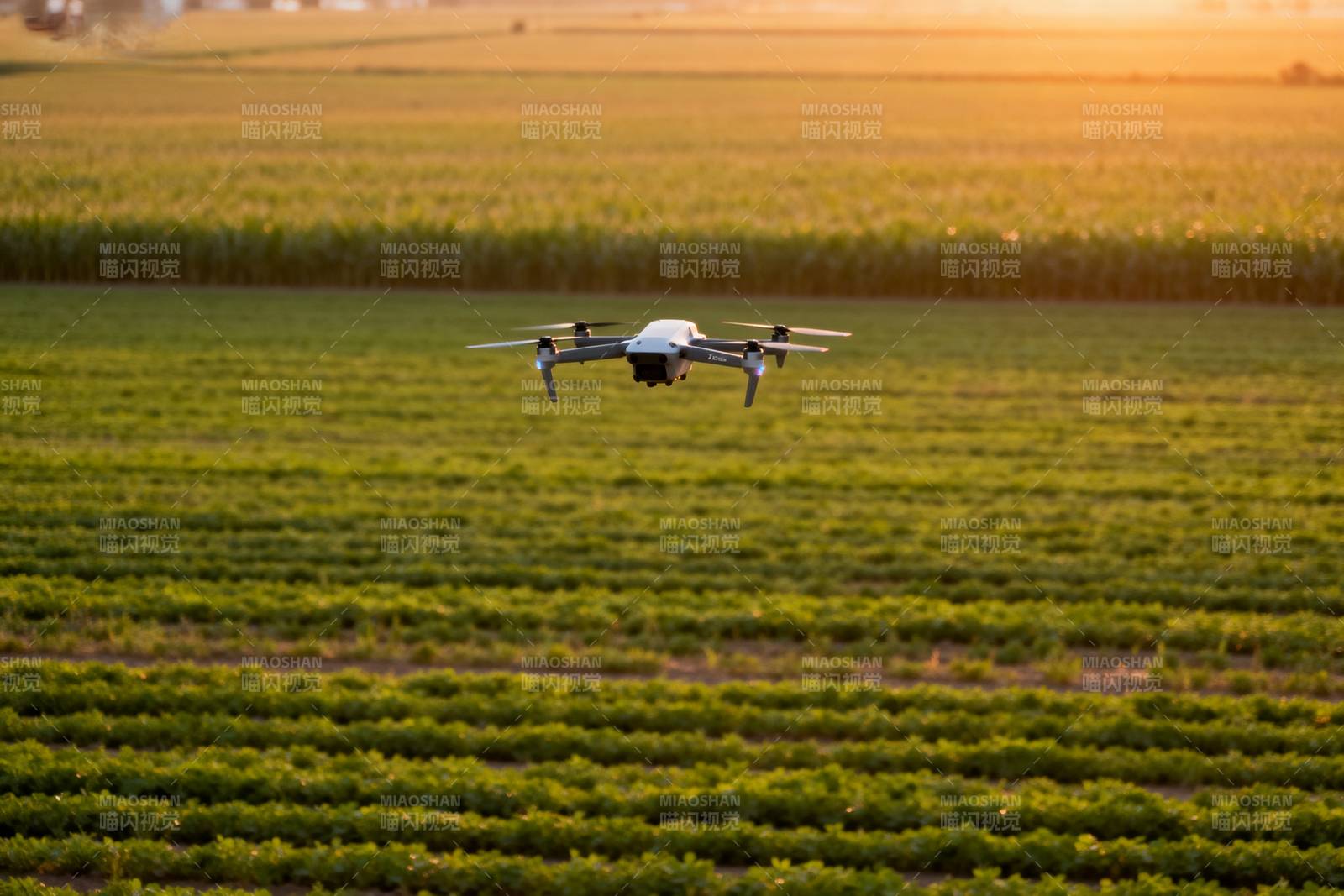 无人机巡田图片