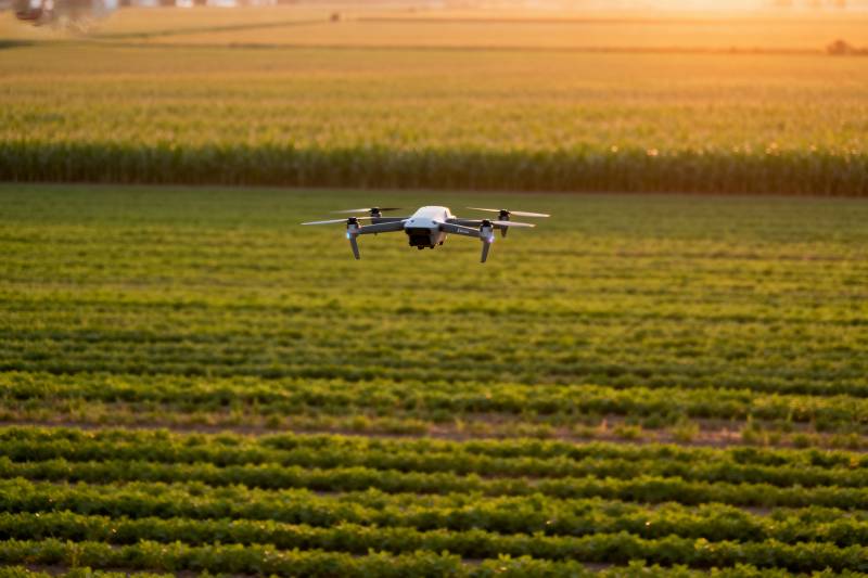 无人机巡田图片