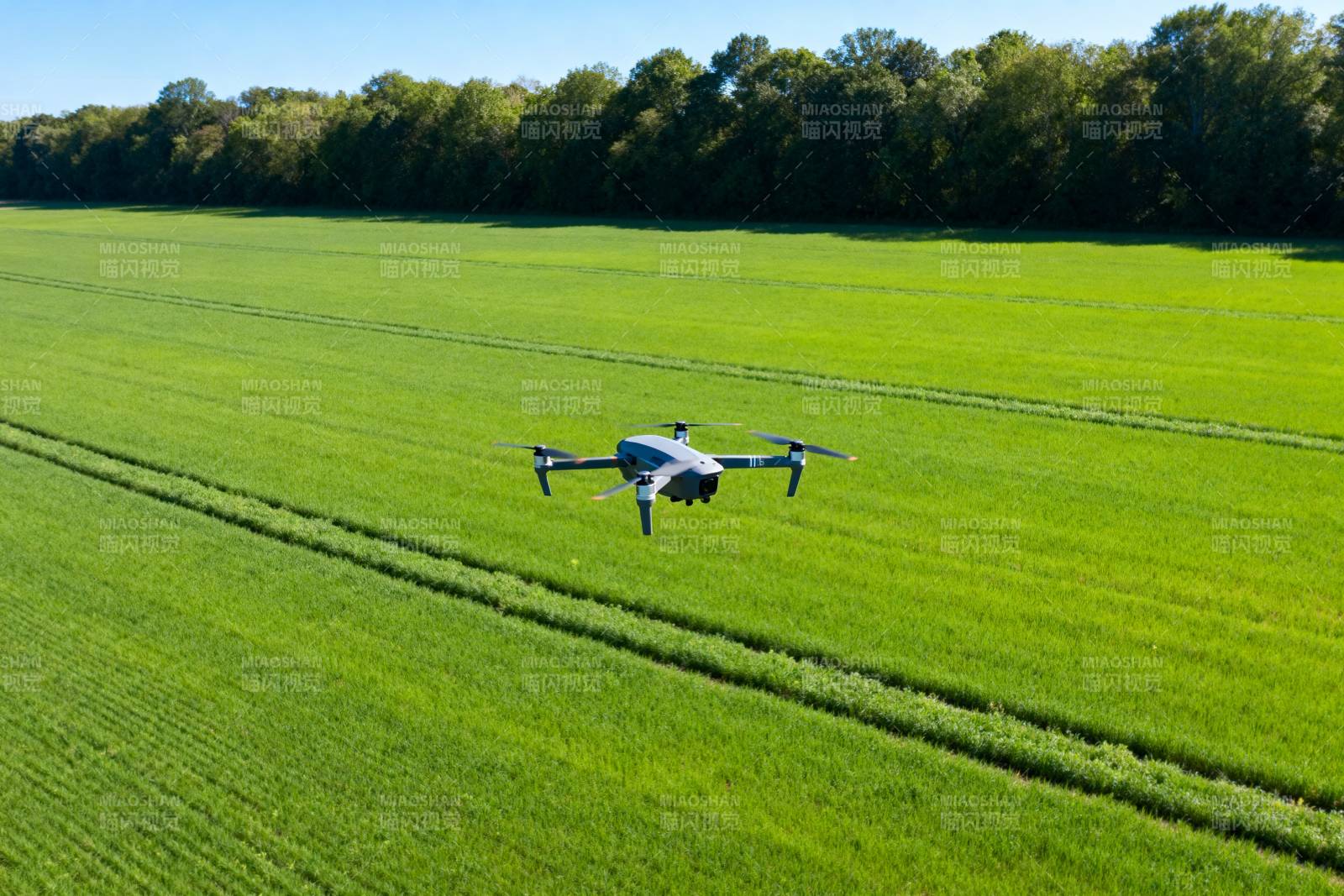 无人机巡田图片