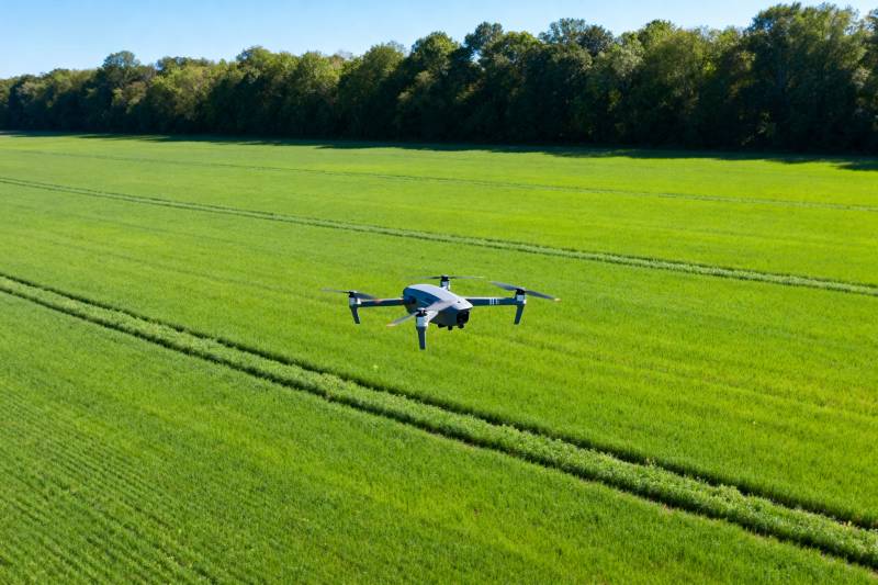 无人机巡田图片