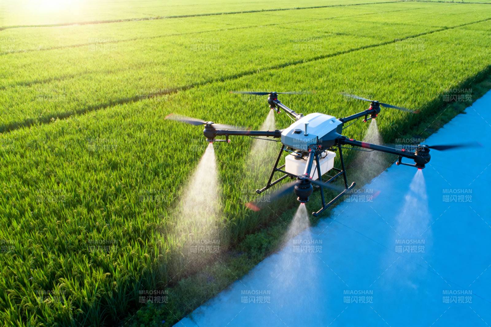 无人机喷洒农田图片