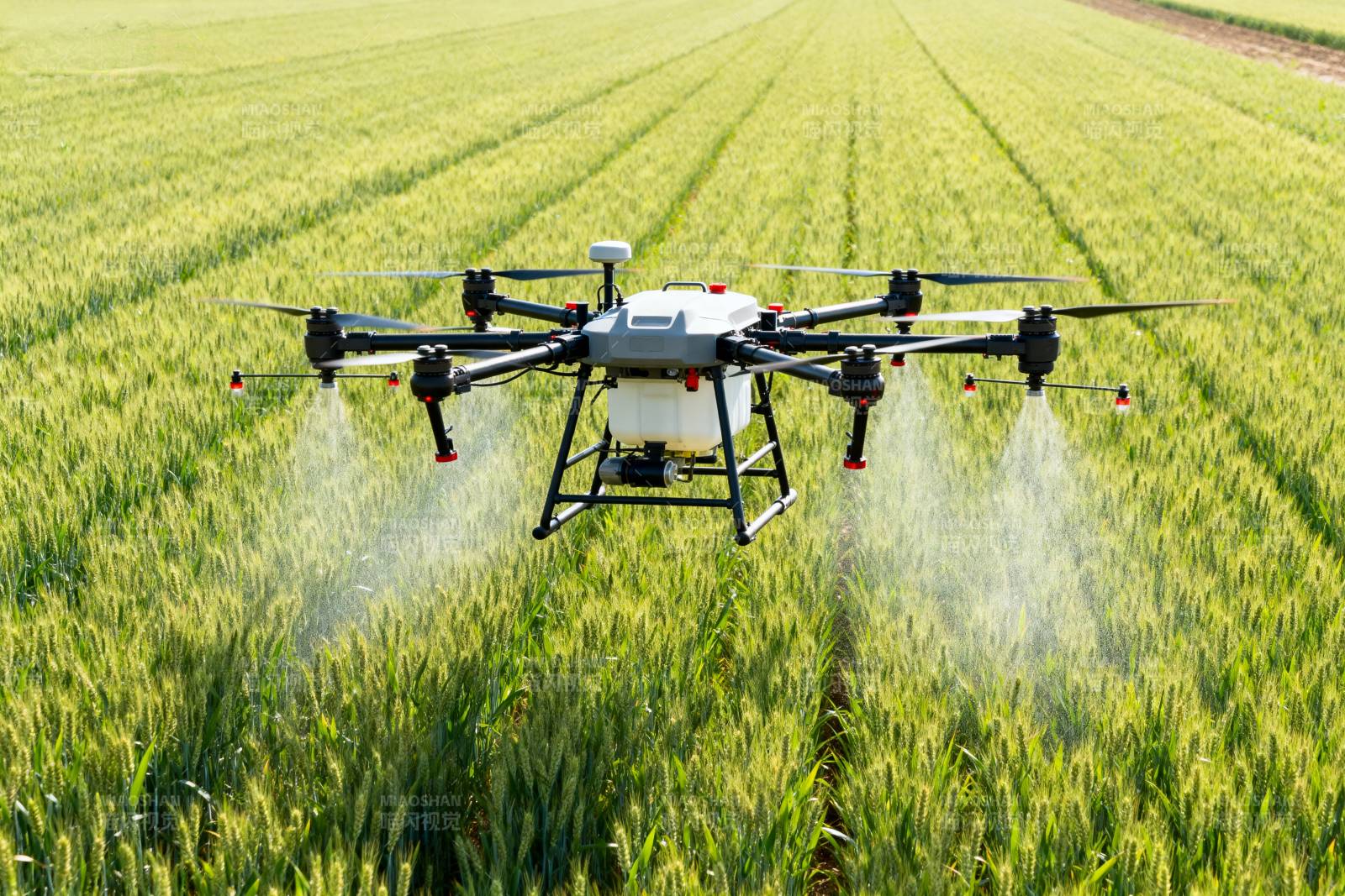 无人机喷洒农田图片