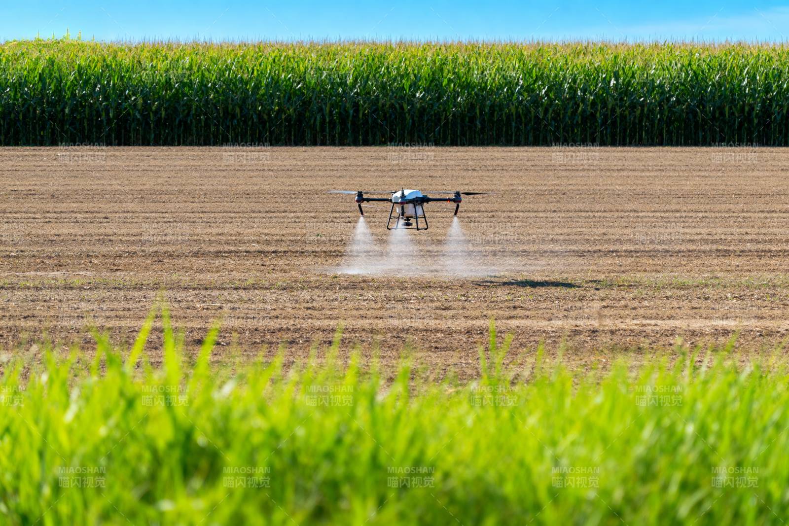 无人机农田喷洒图片