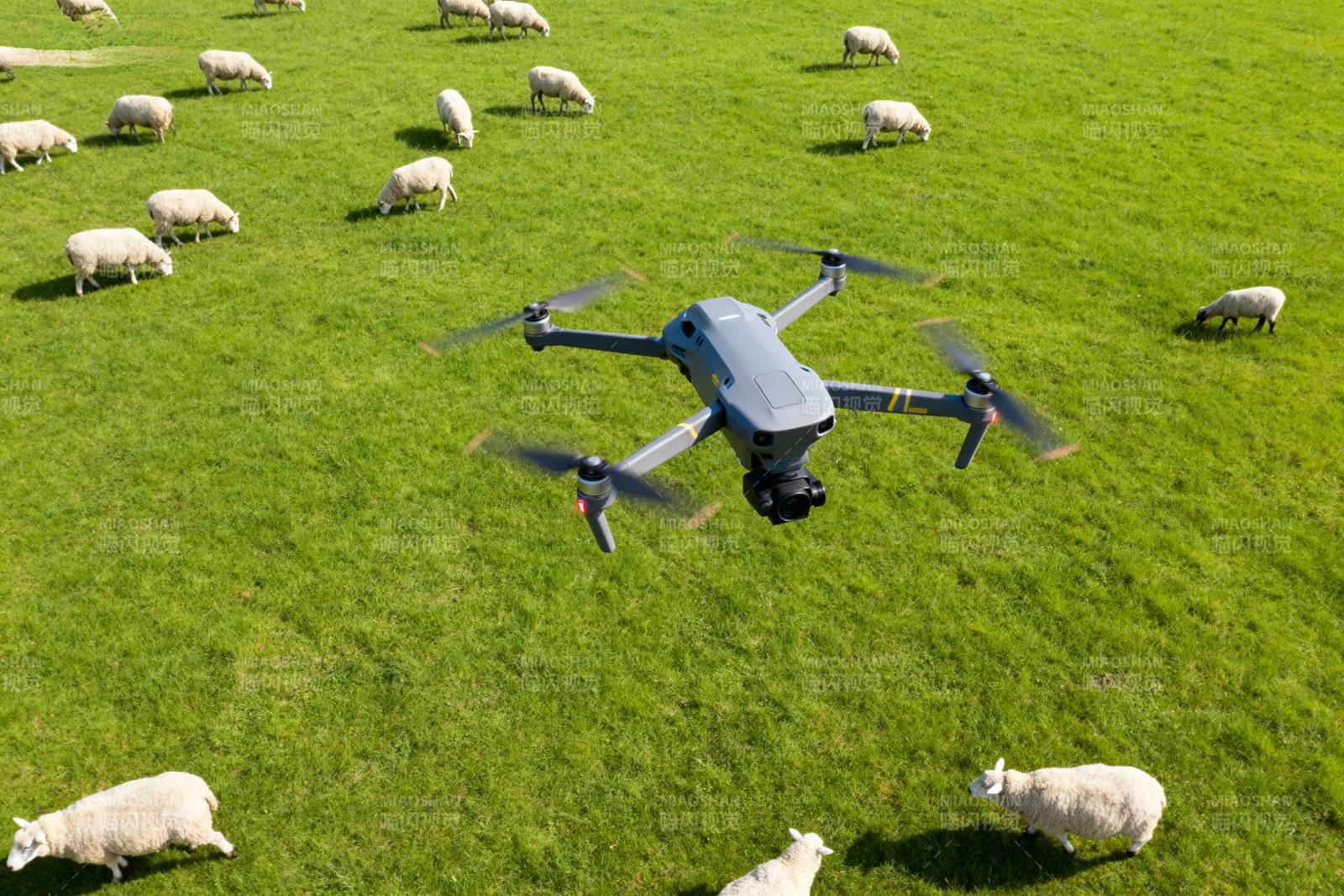 无人机牧羊场景图片