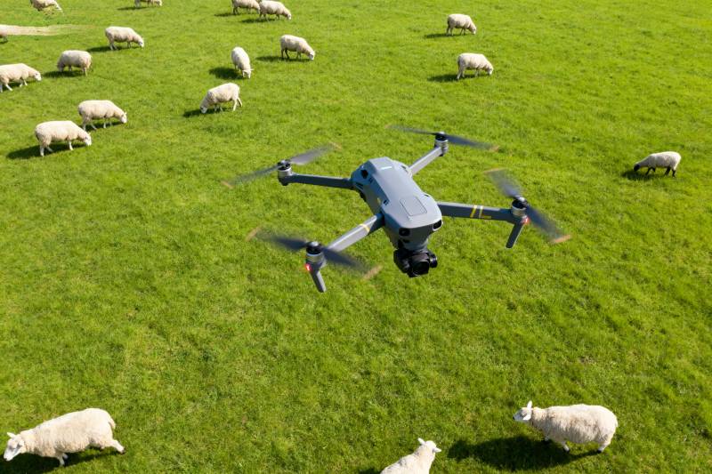 无人机牧羊场景图片